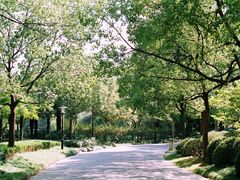 -柯达真美(老重庆中路店)