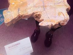 -陕西自然博物馆