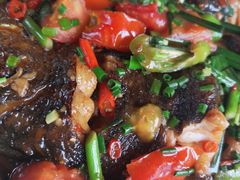 -生态苑农庄(十里画廊遇龙河店)