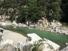 -黑河国家森林公园