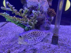 -太平洋海底世界