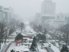-札幌电视塔