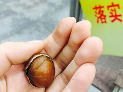 -栗满秋(燕丰西坝河店)