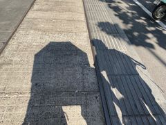 -循礼门鲜花花市(武汉循礼门店)