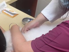 -艾贝尔宠物医院 ·内科全科(梁溪路店)