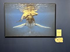 -福州海峡文化艺术中心