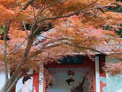 -十八棵（老龙井）御茶园(老龙井店)