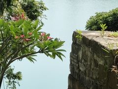 -水濂山森林公园