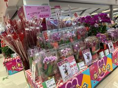 -AEON永旺(东方宝泰店)