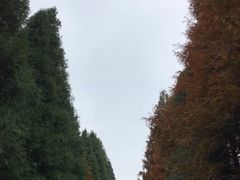 -山王坪喀斯特国家生态公园
