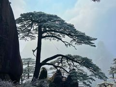 -黄山风景区