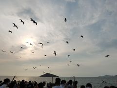 -海驴岛(荣成市)
