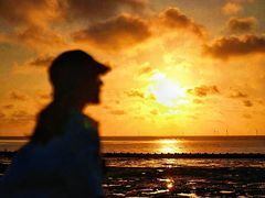 -春花秋色城市公园