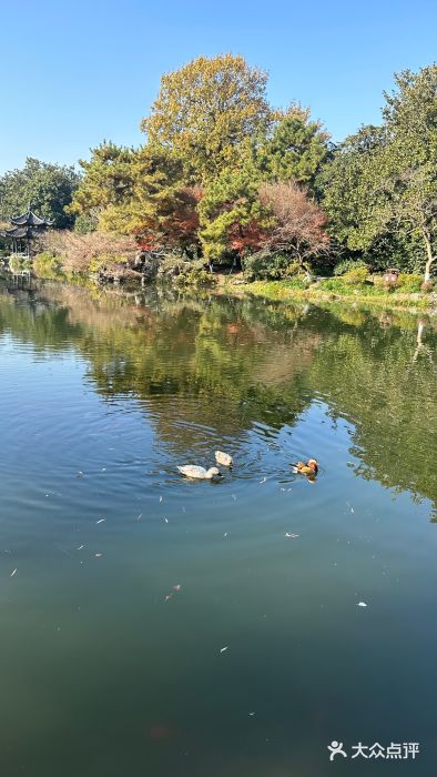 西湖外事游船(花港观鱼码头)图片