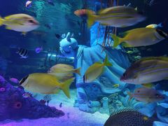 -沈阳海洋探索中心