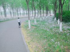 -东郊湿地公园