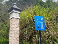 -广州市帽峰山景区