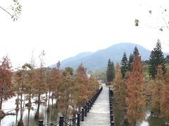 -田野绿世界