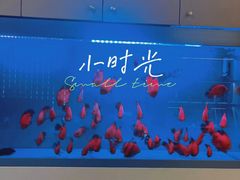 -宫七SPA·高端Massage(浦东大道店)