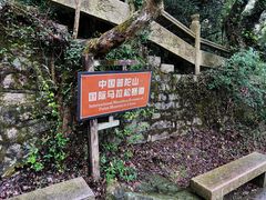 -法雨寺餐厅
