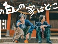 -学习谷日语培训日本留学·多语种外语教学(西单宣武分部)