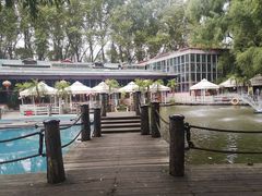 -大鹅岛绿色生态美食园