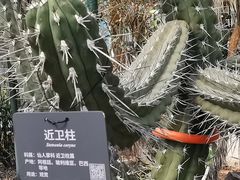 -北京植物园-展览温室