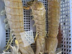 -南沙十九涌渔人码头-南门