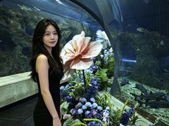 -芜湖新华联大白鲸海洋公园