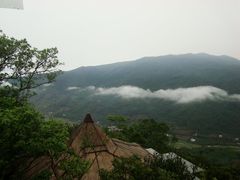 烟雾缭绕-三亚亚龙湾人间天堂鸟巢度假村