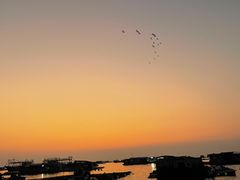 -深圳海钓·深圳钓鱼·拓展聚会鱼排