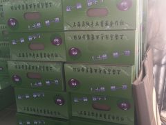 -马陆小张葡萄园农家乐