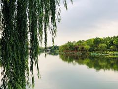 -上海怡沁园度假酒店