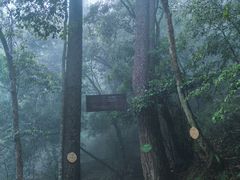 -东天目山风景区