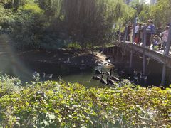 -长白岛森林公园