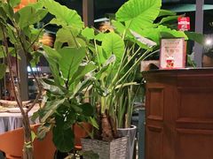 -星叶·东南亚料理(宁波万象汇店)