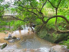 -阳台山森林公园