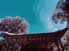 -晋祠公园