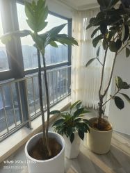 -HEYAN荷妍专业脱毛连锁机构