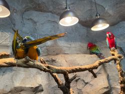 -Zoolung Zoolung动物主题公园(海信广场店)