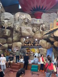 -卡通尼·Safari非洲探索乐园·生日会(金桥国际商业广场店)