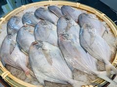 -非烤勿扰韩料自助烤肉(松山湖万科店)