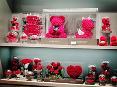 -ROSEONLY诺誓(国际广场购物中心店)