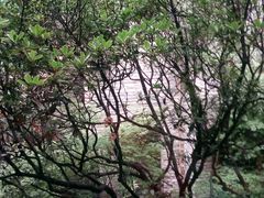 -鱼桥巷·美学川菜