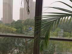 -粤界(望京金辉店)
