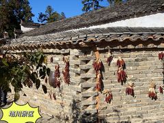 -塔川景区
