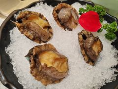 十头鲍鱼-帝皇海海鲜豆捞(桐泾商务广场店)
