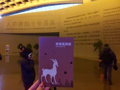 -敦煌莫高窟数字展示中心