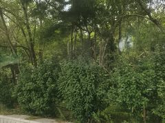 -秦皇岛野生动物园