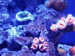 -成都浩海立方海洋公园